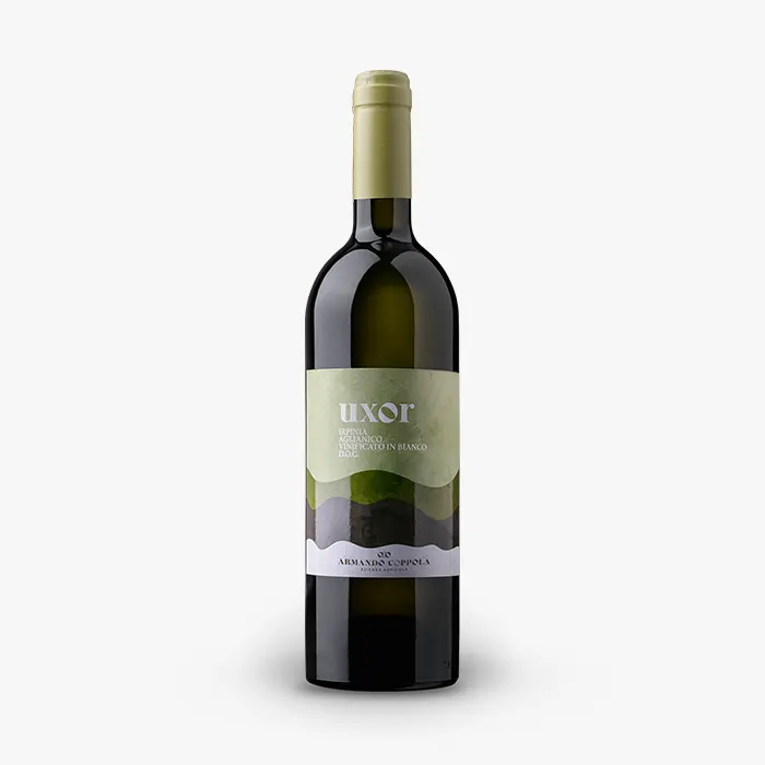 Irpinia Aglianico Vinificato in Bianco DOC Uxor Vini Armando Coppola Atripalda | Taurasidocg.com